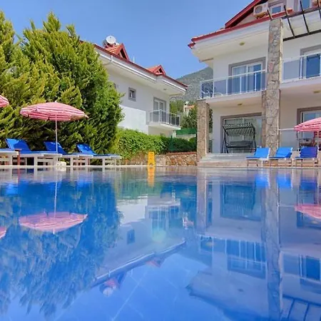 Oludeniz Ovacikta 5 Yatak Odali, 12 Kisilik , Mustakil Havuzlu 3 * 페티예