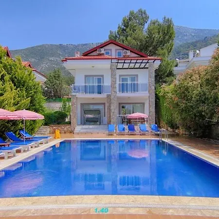 Oludeniz Ovacikta 5 Yatak Odali, 12 Kisilik , Mustakil Havuzlu 3 빌라