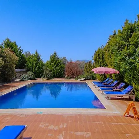 Oludeniz Ovacikta 5 Yatak Odali, 12 Kisilik , Mustakil Havuzlu 3 페티예