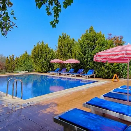 Oludeniz Ovacikta 5 Yatak Odali, 12 Kisilik , Mustakil Havuzlu 3 빌라 페티예