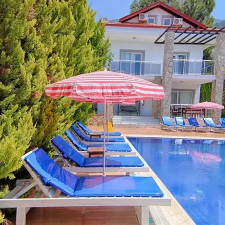 Oludeniz Ovacikta 5 Yatak Odali, 12 Kisilik , Mustakil Havuzlu 3 빌라 *