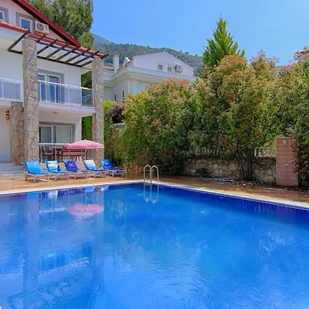 Oludeniz Ovacikta 5 Yatak Odali, 12 Kisilik , Mustakil Havuzlu 3 빌라 페티예