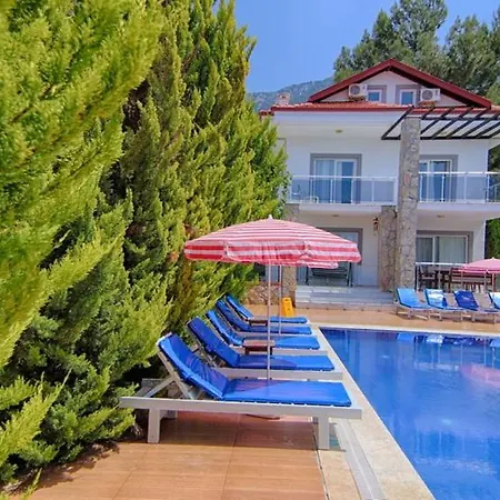 Oludeniz Ovacikta 5 Yatak Odali, 12 Kisilik , Mustakil Havuzlu 3 빌라